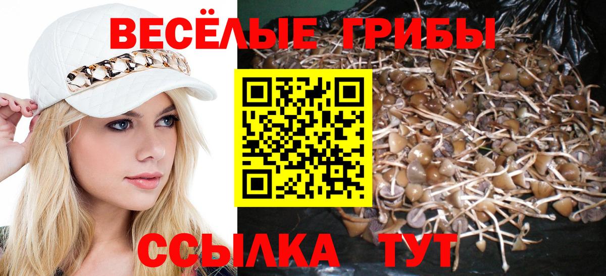 Галлюциногенные грибы Psilocybine cubensis Южно-Сахалинск